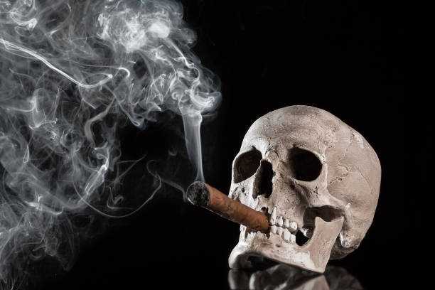 Image result for a skeleton smoking a cigar