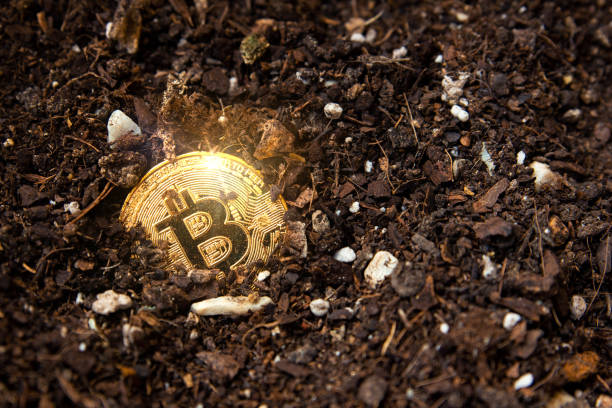 Close up shot of a golden bitcoin unearthed. Metaphor of mining BTC and cryptocurrencies. Digital business and decentralized finances concept stock photo