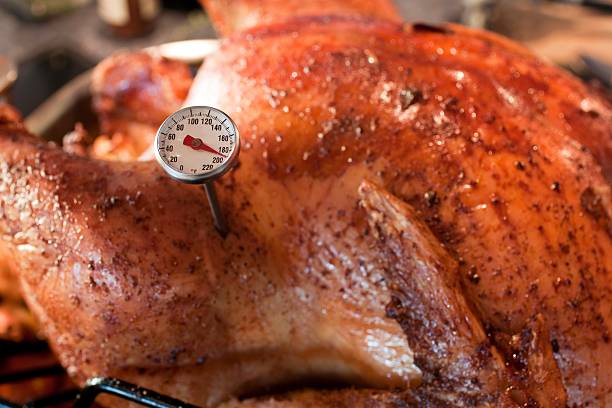 Close up shot of Thermometer in Roasted Turkey stock photo