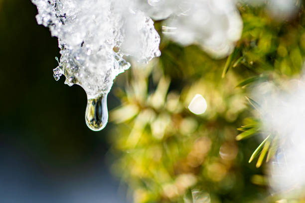 Close up shot of water drop falling from a melting ice stock photo
