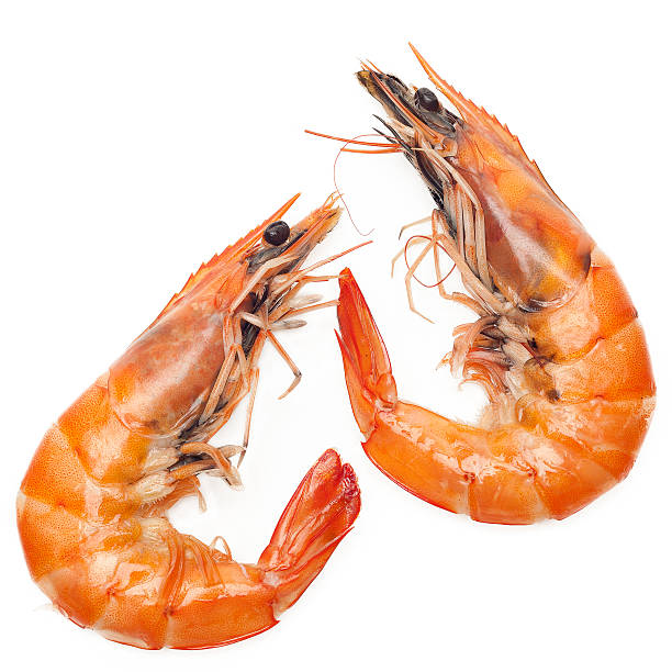 Close up shrimp isolated on white background stock photo