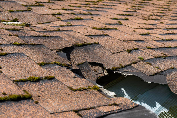 Close up view of asphalt shingles roof damage that needs repair. stock photo