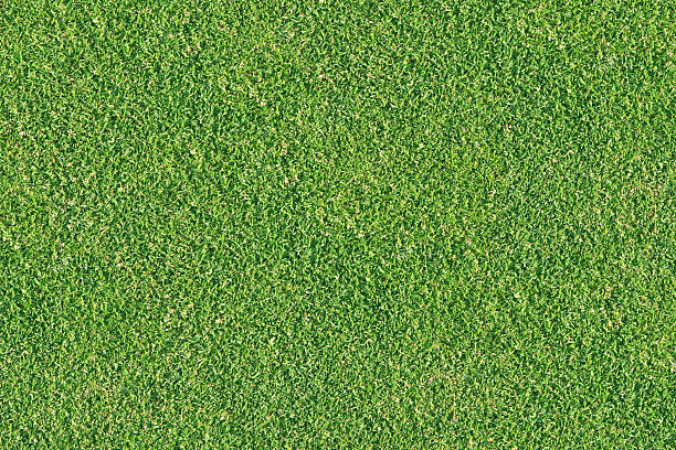 Close-up background of a golf green stock photo
