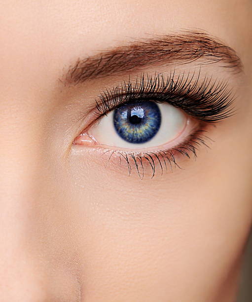 Closeup beautiful blue woman eye with long salon lashes looking stock photo