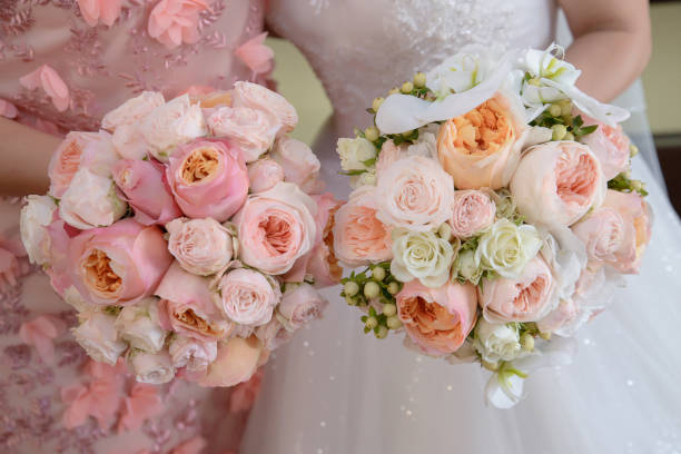 Close-up cropped shot of young Caucasian bride and bridesmaid holding a large round wedding bouquet each featuring pastel colored peonies and white roses stock photo