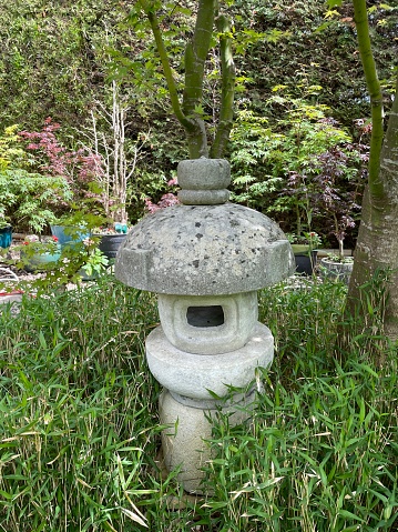 Stock photo showing an overgrown bamboo bush covering a weathered granite Japanese lantern in a domestic garden.