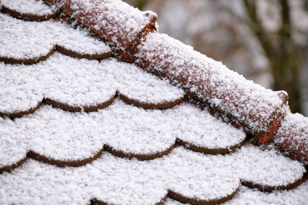 Closeup of a roof with plane tiles covered with snow stock photo