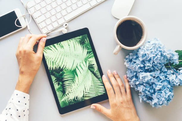 Closeup of a tablet with a picture of a fern, workplace in the office, female hands are holding the device stock photo