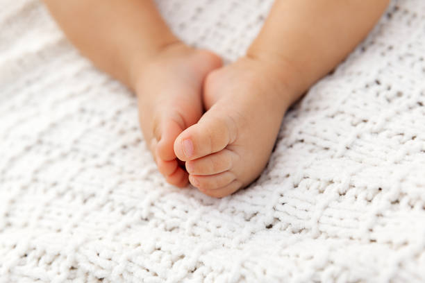 Closeup of adorable baby feet on knitted blanket as a background in a selective focus stock photo