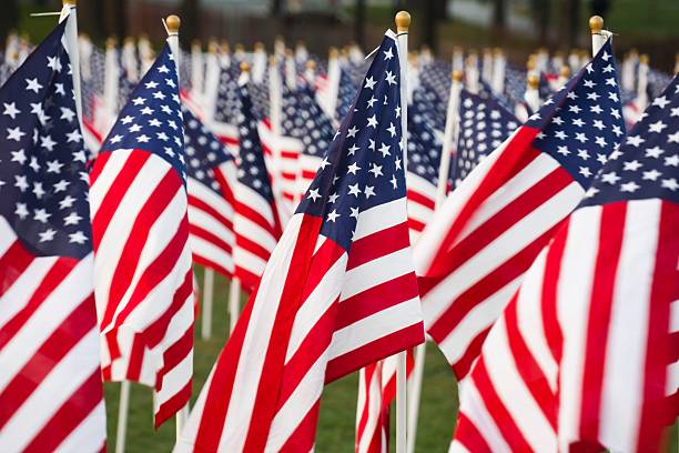 A close-up of American flags displayed on a field Closeup of stars and stripes flags in a park memorial day background stock pictures, royalty-free photos & images