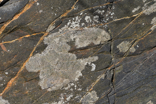 Close-up of black rock outcrop with rusty veins and crustose lichen, appearing to be bedrock consisting of hornblende gneiss or hornblende schist. Near Mount Tom in Connecticut.