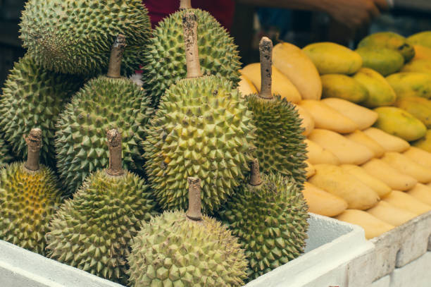 Closeup of fresh durian in the market in Kuala Lumpur, Malaysia Closeup of fresh durian fruit in the market in Kuala Lumpur, Malaysia chinatown kuala lampur stock pictures, royalty-free photos & images