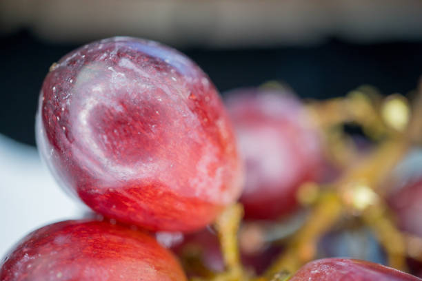 closeup of grape stock photo