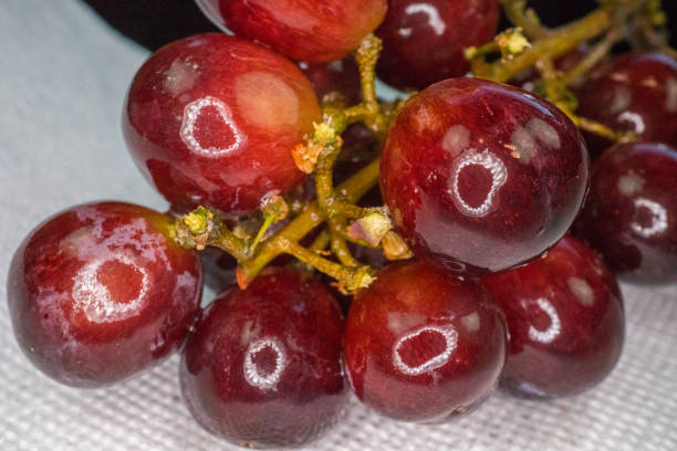 closeup of grapes stock photo