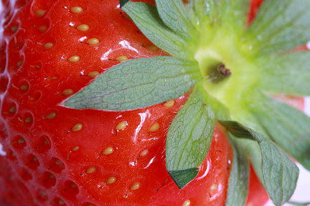 Closeup of juicy strawberry stock photo