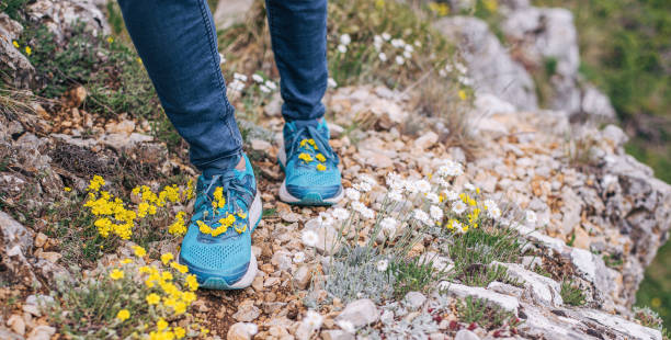 Close-up of legs on rocky hiking trail in blue sneakers decorated with yellow mountain flowers. stock photo