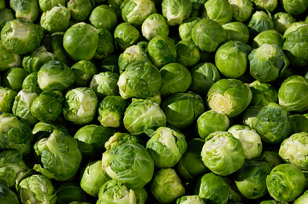 Close-up of Processed Brussels Sprouts stock photo