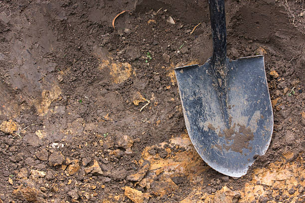 Close-up of spade shovel being used to dig a hole in soil stock photo
