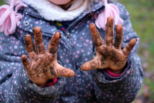 Close-up of the muddy hands of a child girl stock photo