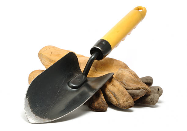 Close-up of trowel lying on a pair of leather work gloves stock photo
