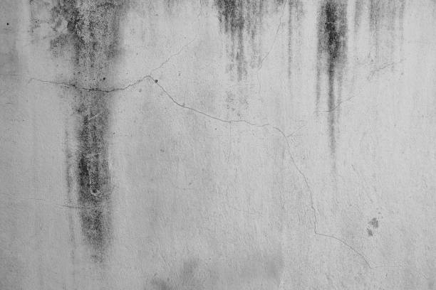 närbild av vit cement spricka vägg och skalade färg som orsakas av vatten och solljus. skala vägg av vitt hus färg med svart fläck. svartvit texturbakgrund. - sj bildbanksfoton och bilder