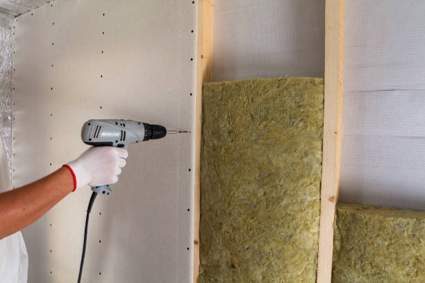Close-up of worker hand with electric screwdriver fastening drywall to wooden timber frame with insulation mineral rock wool staff. Warm home, low energy bills, construction and renovation concept. stock photo