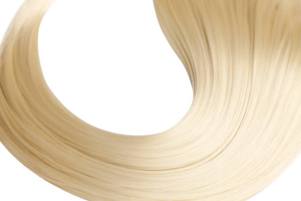 4. Champagne Blonde Highlights for Thick Hair - wide 4