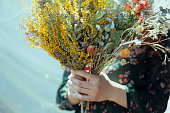 植物に囲まれた乾燥した花束を持つ女性のクローズアップ写真