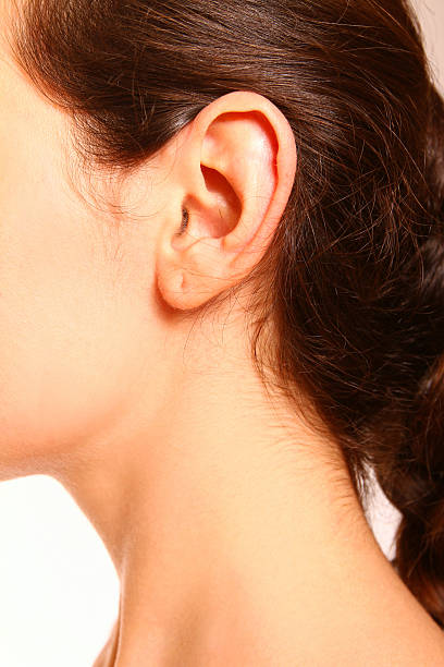 close-up portrait of female ear and neck stock photo