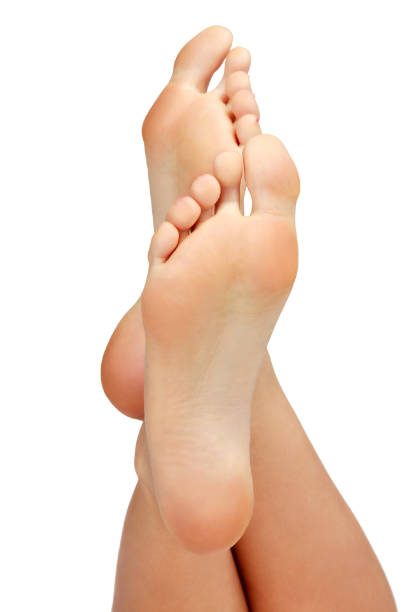 Closeup shot of female feet isolated on white background. stock photo