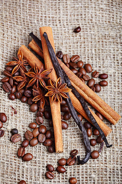 close-ups of various spices - coffe beens, anise, vanilla, cinna stock photo