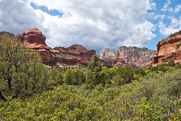 Clouds Form Over Boynton Canyon Greater Sedona and the Verde Valley are areas of uncommon beauty and diversity in the desert of Northern Arizona. It is known for its wide-open vistas, red-rock buttes, steep wooded canyons, pine forests and riparian corridors. Nearby Oak Creek, West Fork and the Verde River provide cool green shade in the spring and summer and a kaleidoscope of color in the fall. Much of this region is within the Coconino National Forest which includes several designated national wilderness areas. This scene of red rock and contrasting green trees was photographed at Boynton Canyon in the Red Rock Secret Mountain Wilderness near Sedona, Arizona, USA. jeff goulden sedona stock pictures, royalty-free photos & images