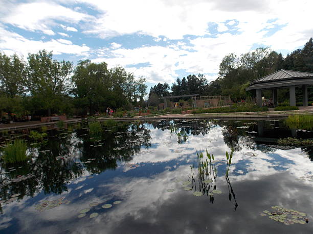 Clouds Reflected in Still Pond in Botanical Garden stock photo