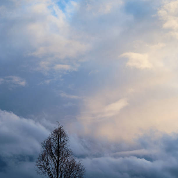 Cloudscape and silhouette:  Return of bright skies after heavy rain stock photo