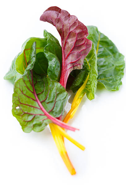 Clump of fresh rainbow Swiss chard Rainbow Swiss chard on white background chard stock pictures, royalty-free photos & images