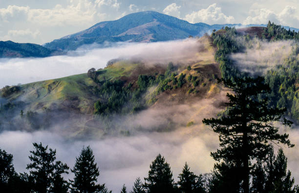 Coastal fog hills stock photo