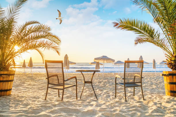 küstenlandschaft - blick auf den strand mit strandmöbeln, palmen und sonnenschirmen - bulgarien stock-fotos und bilder