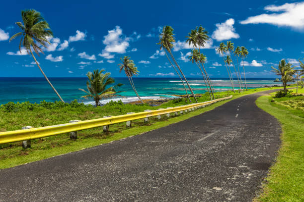 Coastal road lined with palm trees, overlooking tropical ocean, Samoa Coastal road lined with palm trees, overlooking tropical ocean, Samoa Islands apia samoa stock pictures, royalty-free photos & images