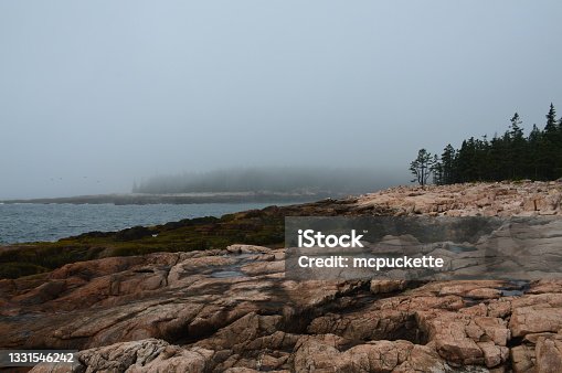 istock Coastline of Acadia National Park 1331546242