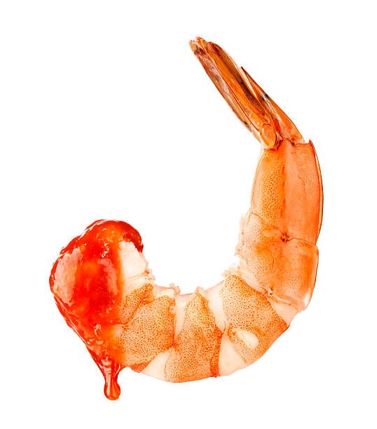 Cocktail Shrimp Cocktail shrimp dripping with cocktail sauce on white background.  Please see my portfolio for other food and drink images. cocktail sauce stock pictures, royalty-free photos & images