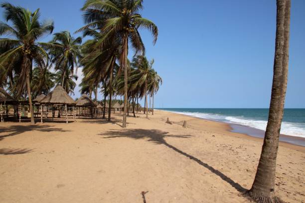 Coco Beach in Avepozo, Togo, West Africa. Avepozo, Togo - November 05, 2018: The beautiful Coco Beach is a famous place for the coconut palm trees in Avepozo, Togo, West Africa. At a small restaurant tourists can sit in the shadow of thatched roofs and palm trees. It is a relaxing place, where people can eat traditional food and fresh fish. togo stock pictures, royalty-free photos & images