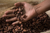 istock Cocoa beans into the sack 1301460274