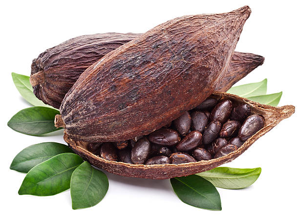Cocoa pod. Cocoa pod on a white background. plant pod stock pictures, royalty-free photos & images
