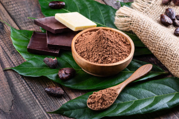 Cocoa powder in wooden bowl, bars of dark bitter chocolate and cocoa butter with whole dry cacao beans on old rustic table. stock photo