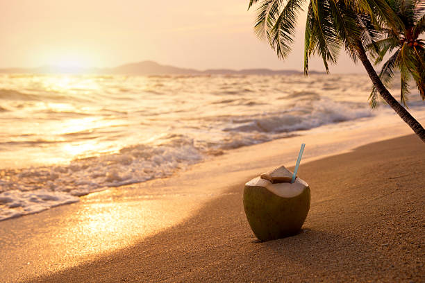 coconut cocktails stock photo