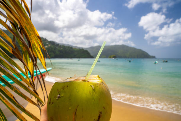 kokosgetränk am sandstrand, sommerurlaub am strand - tobago stock-fotos und bilder