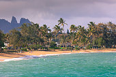 istock Coconut Palm tree on the sandy beach in Kapaa Hawaii 469609454