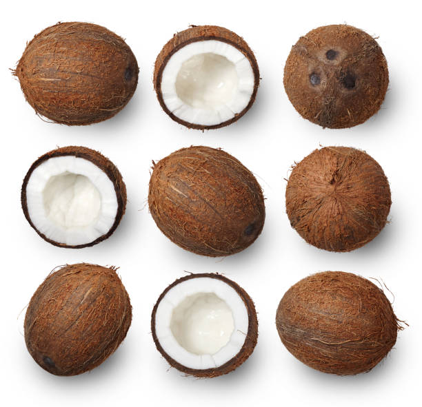 Coconut. Set of coconuts isolated on white background. Top view. coconut stock pictures, royalty-free photos & images