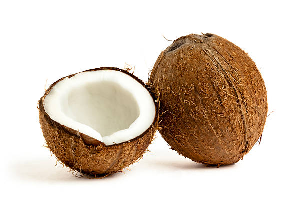 Coconut stock photo