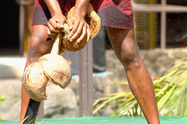 Coconut Shuck stock photo